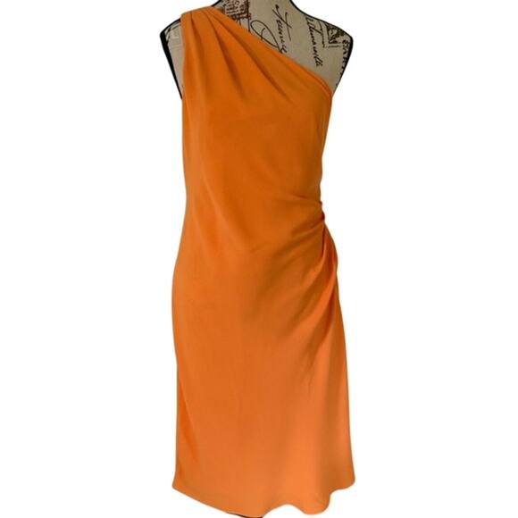 NWT Trina Turk Poem Asymmetric Knee Length Dress - Size 8 - Picture 4 of 9